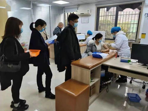 鉚足干勁辦實(shí)事，服務(wù)群眾開(kāi)新局——岳麓區(qū)黨史學(xué)習(xí)教育引領(lǐng)教育咨詢服務(wù)新實(shí)踐